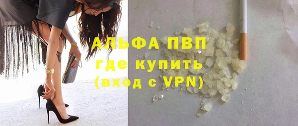 гидра Киренск