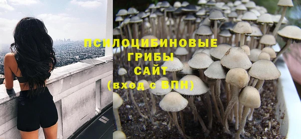 гидра Киренск