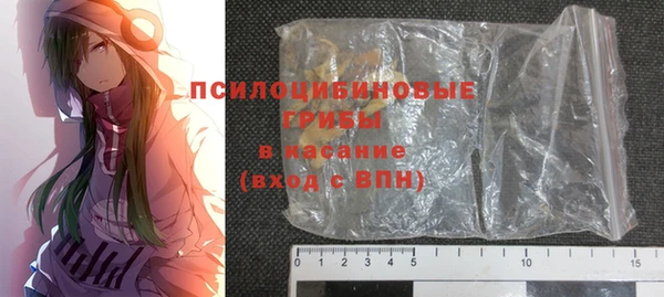 гидра Киренск